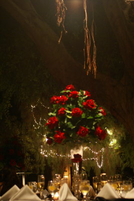 nov_2009_wedding