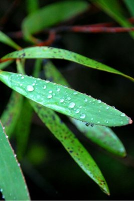 DSC_2350.JPG