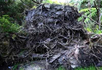 flood storylines s.jpg