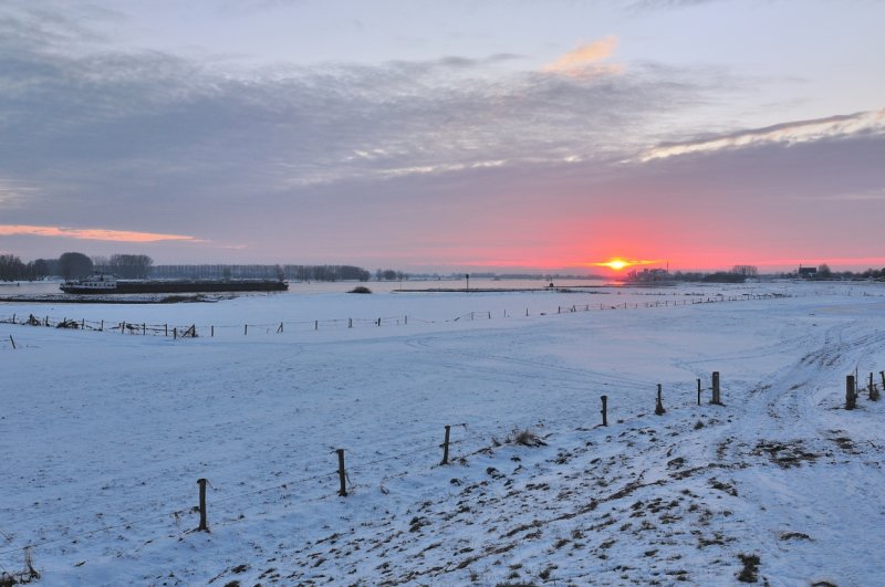 Vuren zonsondergang