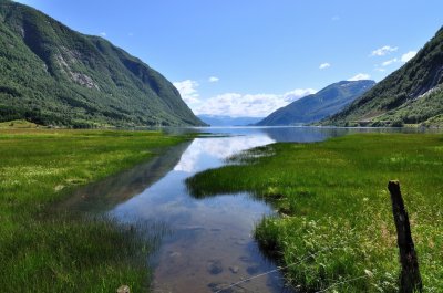 Vetlefjord