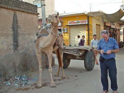 Dans les rues de l'Inde
