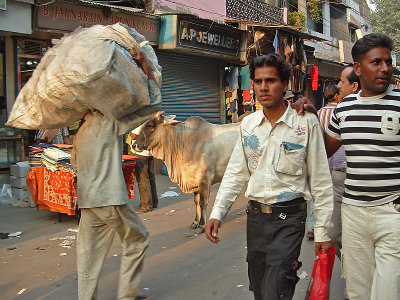 Delhi DSCF0047.jpg