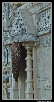 DSCF0245.jpg