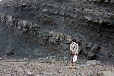 Joggins Fossil Cliffs