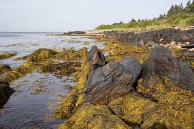 Kingsburg shore