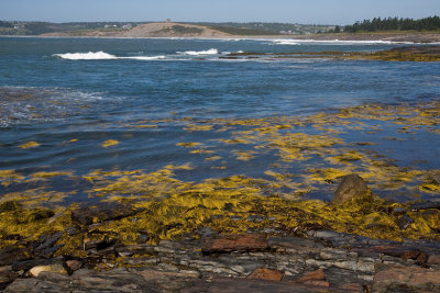 Hirtle's Beach in distance, from Hell Point