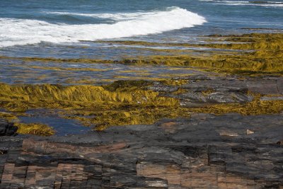 Shore near Hell Point