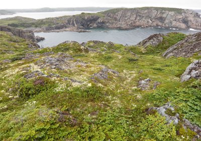 Hike from Little Harbour, near Twillingate