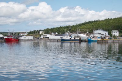 Seldom, Fogo Island