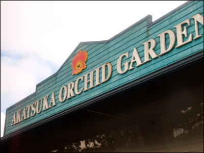 9258.Akatsuka Orchid Gardens