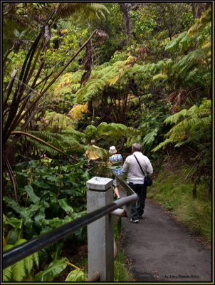 9280.Path To Lava Tube