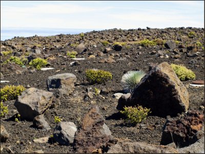 9673.Atop Haleakala Crater