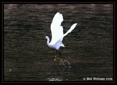 PC-IMG_8901.JPG