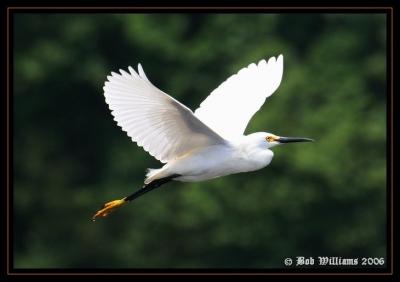 PC-IMG_8907.JPG