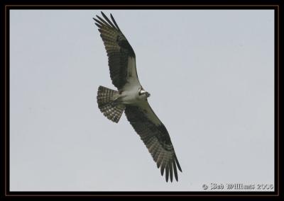 PC-IMG_8954.JPG
