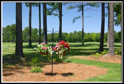 pbase_Myrtle Beach May 005.jpg