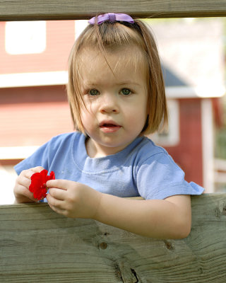 DSC_3696a.jpg