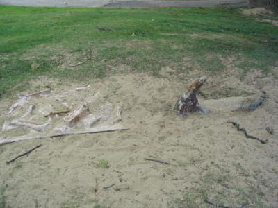 Picture2 133.jpg