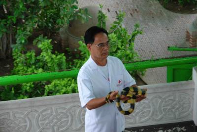 g4/57/305657/3/60454691.SnakeFarm050.jpg