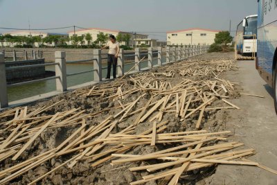 Not sure why the wood is here, to keep down mud? But not likely.....