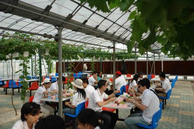 Grape testing in Malu