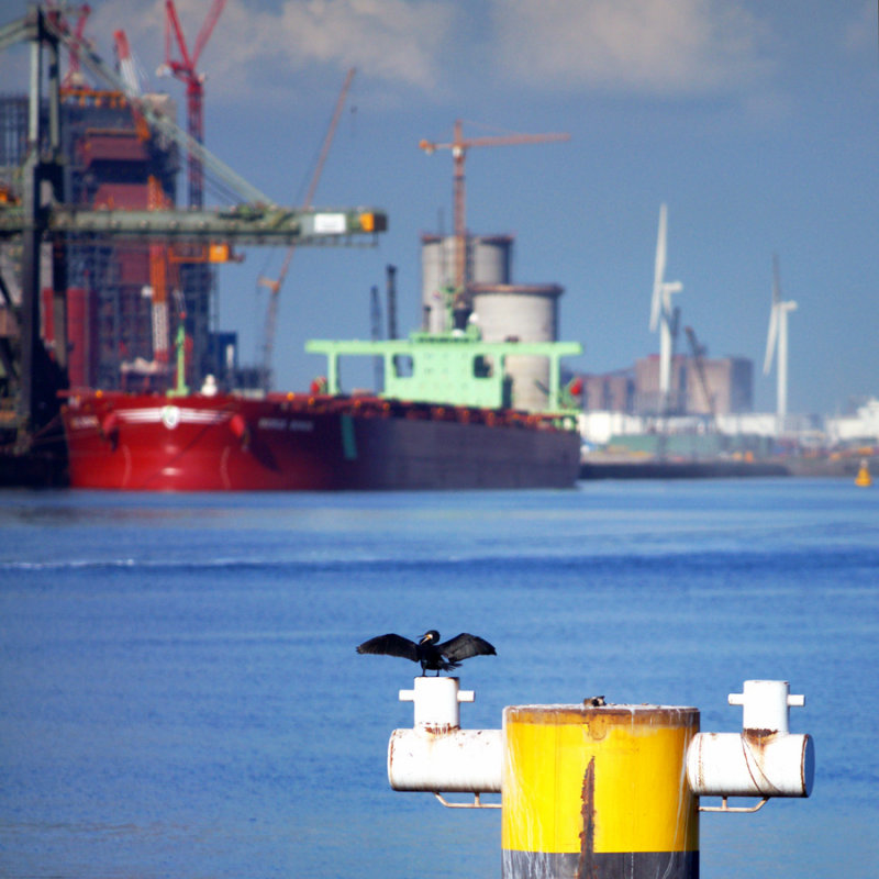 Rotterdam Harbour