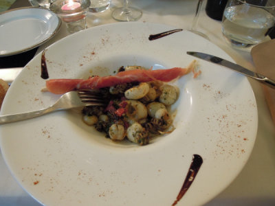octopus