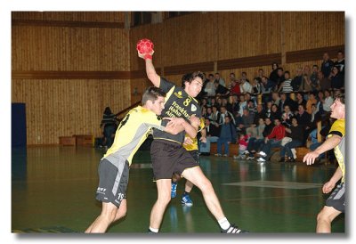 DSC_20561_16pb.jpg