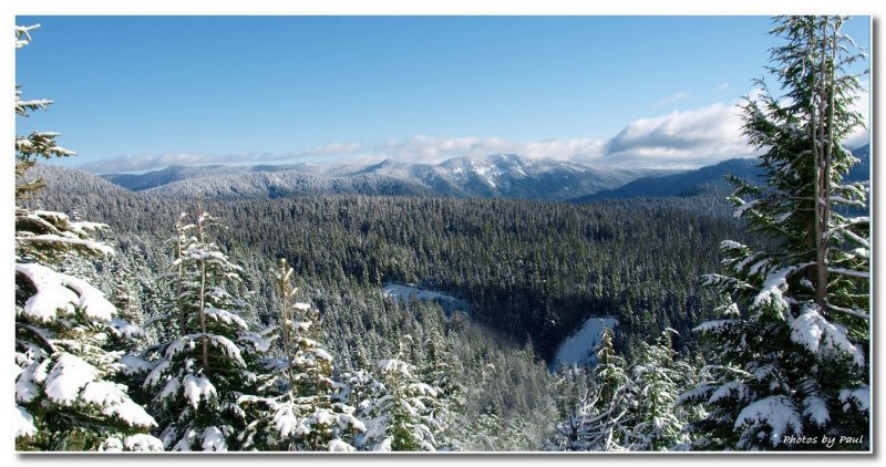 THE CASCADES