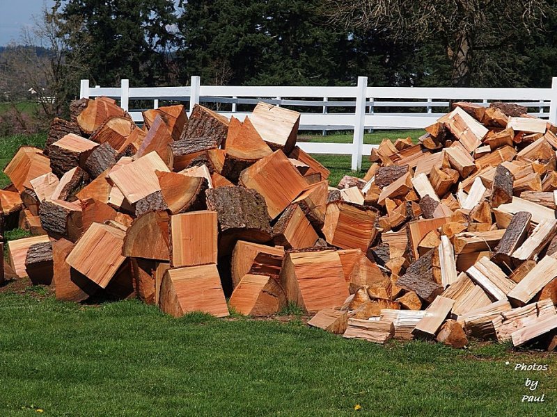 MY BACK HURTS JUST LOOKING AT THIS !