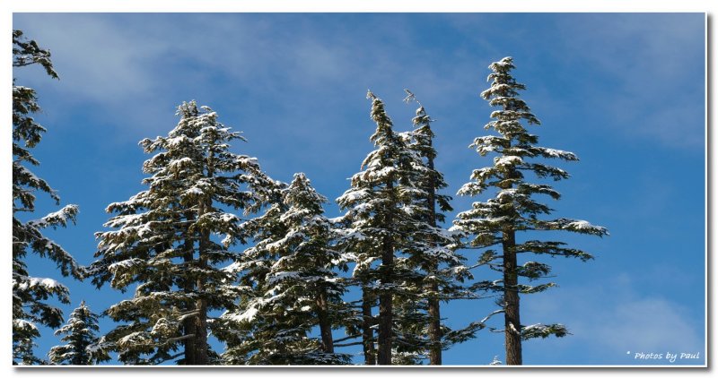 WINTER IN THE  CASCADES