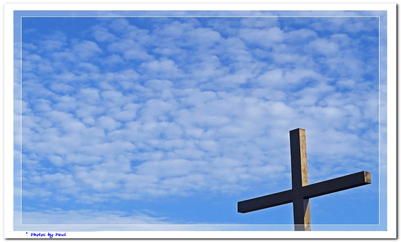 THE WOOL OF THE LAMB . . .