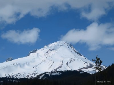 THE SOUTH FACE OF MT. HOOD