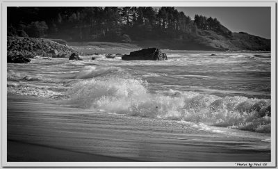 A VERY SPECIAL BEACH . . . NO. CALIFORNIA