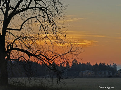 SEE MT. HOOD IN THE DISTANCE ?