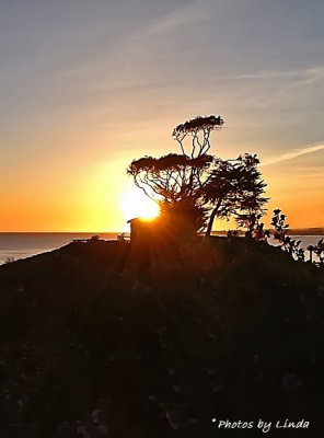 THE VIEW FROM LOOK OUT POINT