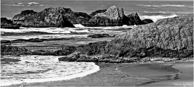 CENTRAL OREGON COASTLINE