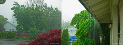 A PACIFIC NW SPRINGTIME STORM