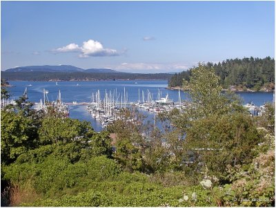 ON AND AROUND . . .  SAN JUAN ISLAND