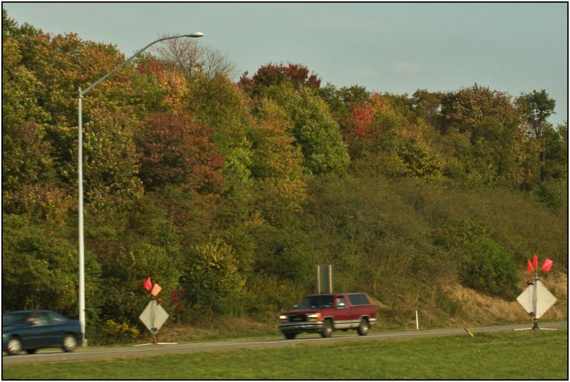 CRW_8590.jpg