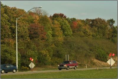 CRW_8590.jpg
