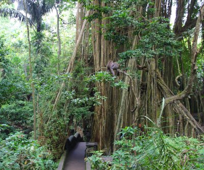 Mandala Wisata Wenara Wana (Sacred Monkey Forest)