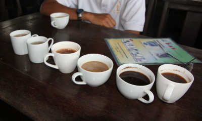 Coffe tasting near Bangli