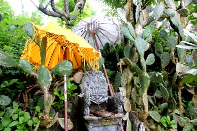 Shrine and cactus