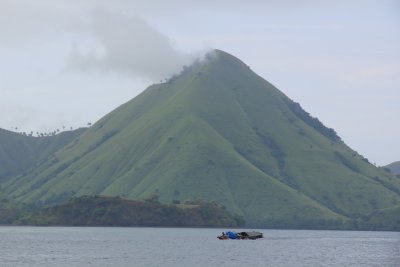 Western Flores