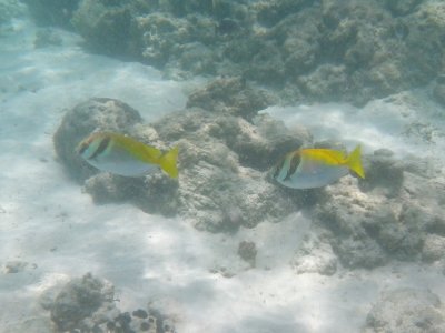 Komodo National Park