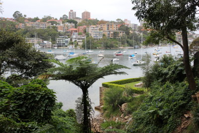 Mosman Bay - North Shore