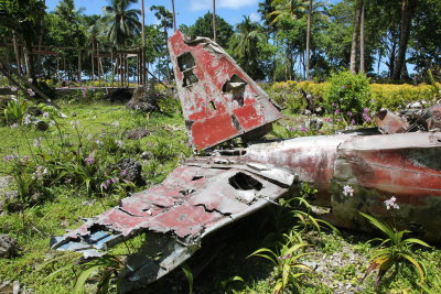 No garden in this part of the world is complete without Ww2 remains. This was a japanese Zero.