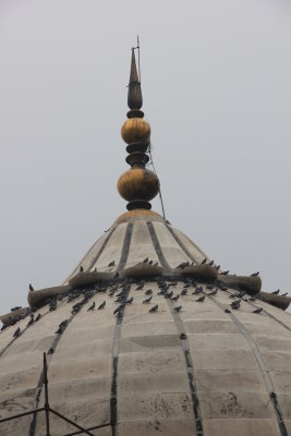 Birds. Jama Masjid. The largest mosque in India.